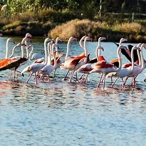  Bed & Breakfast Levante Italia
