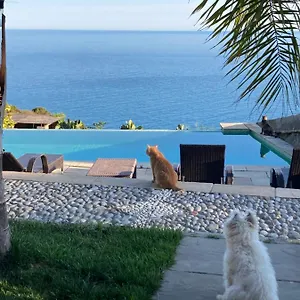  Bed & Breakfast B&bilfortesulmare Italia